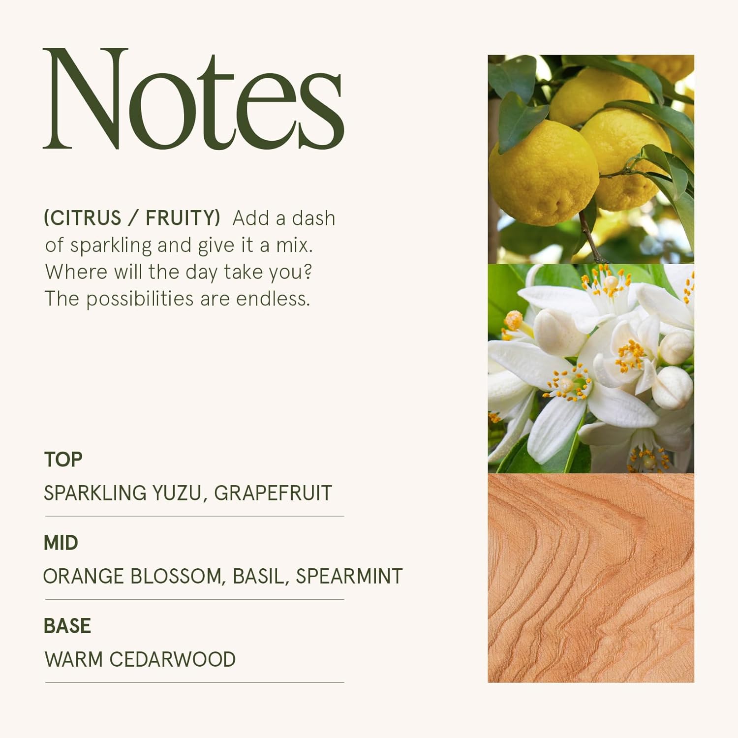 Bougie parfumée pour une ambiance chaleureuse et relaxante – Image 4