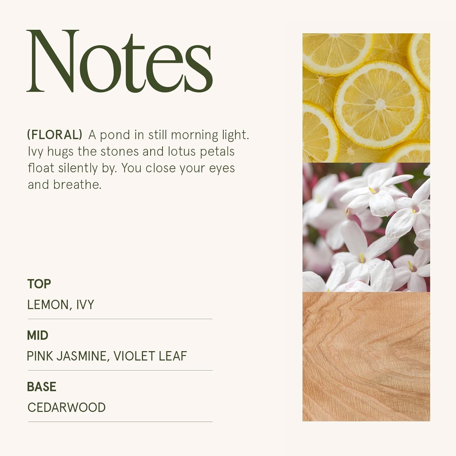 Bougie parfumée pour une décoration élégante et une ambiance chaleureuse – Image 4