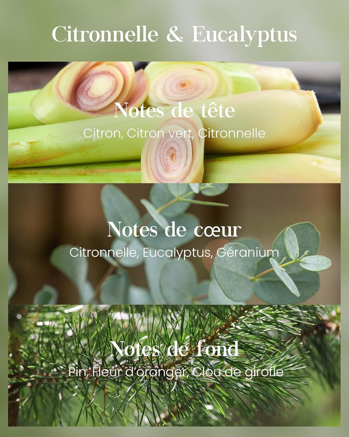 Bougie parfumée pour une décoration élégante, créant une ambiance chaleureuse – Image 2