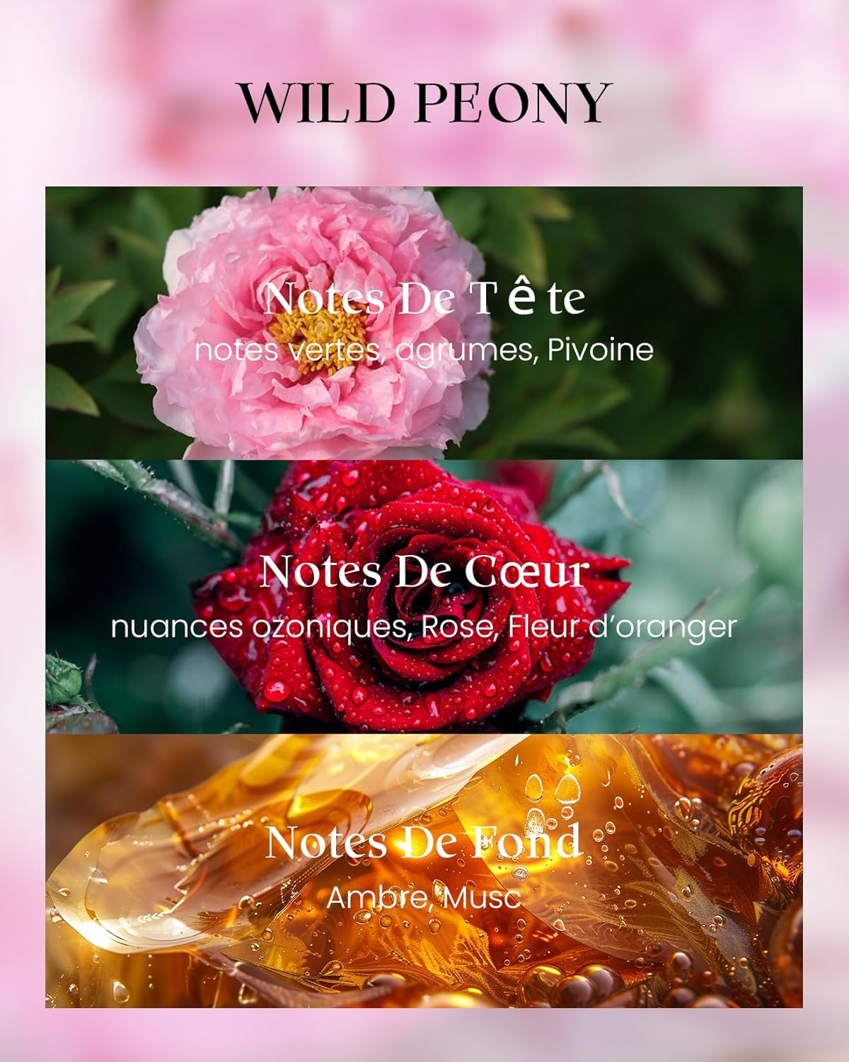 Bougie parfumée pour un cadeau élégant, créant une ambiance chaleureuse – Image 2