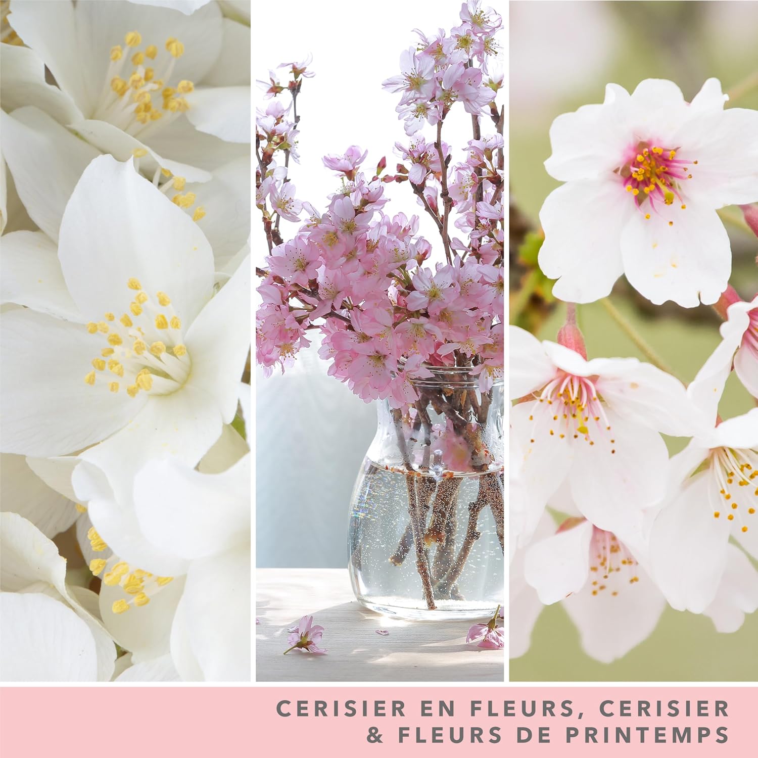 Bougie parfumée pour la détente : créez une ambiance chaleureuse chez vous – Image 3