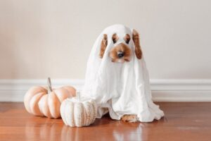 découvrez des idées originales de costumes pour halloween : trouvez le déguisement parfait pour enfants et adultes, allant des classiques terrifiants aux nouveautés tendance pour une fête inoubliable.